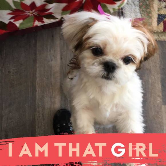 Meet your Posher, Debbie - Picture 1 of 1